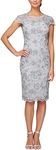 Alex Evenings Women's Short Embroidered Dresses, Dove, 6 Petite