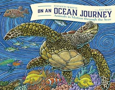 On An Ocean Journey