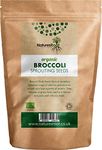 Natures Root Organic Broccoli Sprouting Seeds 500g - Superfood | Non GMO | Microgreen Sprouts