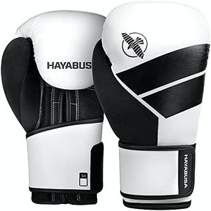 Hayabusa S
