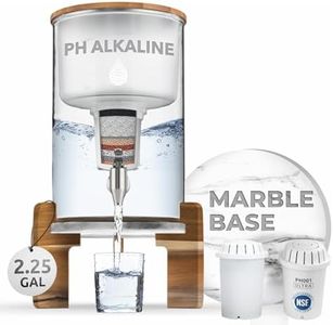 Invigorated Water pH Recharge Glass Alkaline Water Filtration Bundle – 8.5L Countertop Water Dispenser + PH001 Ultra Replacement Filter – High pH Purifier for Clean, (Acacia/Marble)
