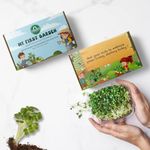 Trustbasket My First Garden Microgreens Kit for kids - Sustainable & Eco-friendly Festive Gift Box for kids, Gardening Starter Kit for Kids