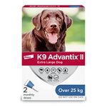 Nexgard Side Effects In Dogs