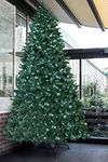 Christmas Tree World | 12ft Artific