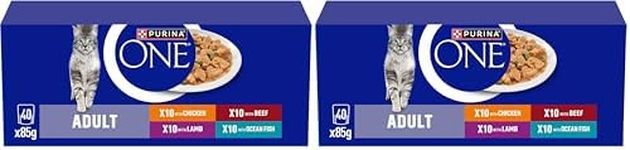 PURINA ONE Mini Fillets Mixed Selection in Gravy Wet Cat Food 40x85g (Pack of 2)
