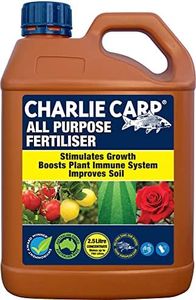 Charlie Ca