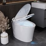DeerValley Smart Toilet with Built-in Heated Seat, Tankless Toilet with Powerful Auto Flushing and Auto Open/Close Lid, 1.28 GPF & MaP 1000g, Adjustable Seat Temp, Night Light