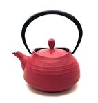 Nanbu Tekki Tea Pot Hakeme 0.4l