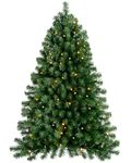 WeRChristmas Pre-Lit Wall Mounted Christmas Tree with 80 Warm White LED Lights - 4 feet/1.2 m, Green