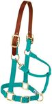 Weaver Leather Nylon Adjustable Breakaway Horse Halter, Small, Emerald Green