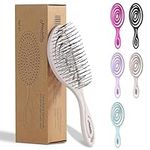 Ninabella Mini Spiral Brush - Hair Brush Detangler for Women - Pro Shower for Curly or Thick Hair - Small Travel Detangling Vent Hairbrushes - Cream