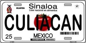 Smart Blonde LP-4823 Culiacan Mexico Novelty Background Metal License Plate