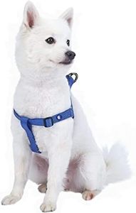 Blueberry Pet 19 Colors Step-in Classic Dog Harness, Chest Girth 16.5" - 21.5", Marina Blue, Small, Adjustable Harnesses Dogs