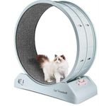 Dratal Cat Wheel, Cat Wheels for Indoor Cats, Cat Exercise Wheel with Carpeted Track, Noiseless Cat Treadmill for Cat Weight Loss, Cat Running Wheel (Grey)