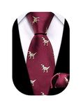 Barry.Wang Boys Tie Boys Silk Necktie Pocket square Set,Paisley Plaid For Prom Party Busines Ceremony