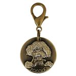 Shirlip Pets Antique Look Bronze Identity Collar Memorial Tag Cum Pendant for Dog, Personalized Metal Tag for Pet Dog and Cat Gold (Poodle)