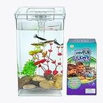 Small Fish Tank one Gallon Square