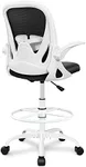 Primy Office Chair Ergonomic Desk C