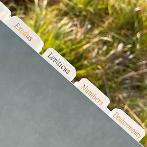 Bible Tabs