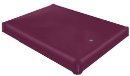 King Size Waterbed