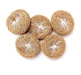 Orgo Dream Vetiver Scrub Natural Loofah Pad-Handmade Ayurvedic Kerala Ramacham Scrubber Made Of Khus Roots-Skin Exfoliating Organic Round Shower Loofah & Bath Sponge-Vegan Body Brush (Pack Of 5)