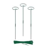 EXALT® 32 Inches (16 inch Main Stake + 16 inch Supporting Stake, DIY) Premium Plant Support Stakes, Sturdy Metal Construction for Strong and Healthy Plant Growth (Pack of 3)