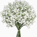 (Baby Breath Gypsophila) - 12 Pcs B