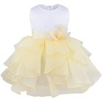 FEESHOW Baby Girls Ruffle Flower Baptism Dress Christening Gown Wedding Party Birthday Tutu Dress Beige 3T