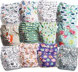 Littles and Bloomz Baby Reusable Pocket Nappy Cloth Diaper, Standard Popper, 12 Nappies, FLP2-1203