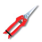 ARS Needle Nose Pruner HP-SE45