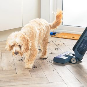 Beldray All-in-One Floor Cleaner – Multi-Surface Cleaning Solution
