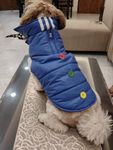 Golden Tails Windproof Warm Dog Winter Jacket| Reflective Cold Weather Coat | Waterproof Polar Fleece Lining Wind Breaker with Leash Hole Pet Warm Clothing-XXL