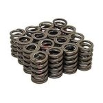 .550" Lift Z28 RV Valve Springs Set for CHevrolet SBC 400 350 327 307 305 283 Engines