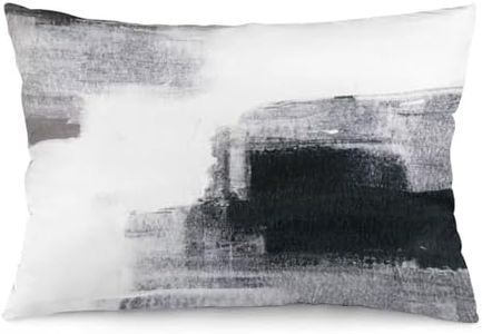 Black White Abstract Art Painting Throw Pillow Cover Queen Size White and Black Lumbar Pillow Case Modern Soft Standard Pillow Cases with Zipper Decorative Cushion Covers for Bed,Sofa,20"x30"