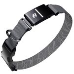 Fi Series 3+ International Kit - Amazon 6M Prepaid Gray Size Large