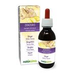 Ginger (Zingiber officinalis) rhizomes Alcohol-Free Mother Tincture Naturalma - Liquid Extract Drops 120 ml - Food Supplement - Vegan