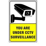 SW Surveillance Systems