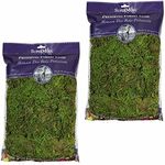 SuperMoss (25322 Forest Moss Preserved, Fresh Green, 8oz (2 Pack)