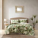 Tommy Bahama - Queen Comforter Set, Cotton Sateen Bedding with Matching Shams & Bedskirt, Medium Weight Home Decor for All Seasons (Palmiers Green, Queen)