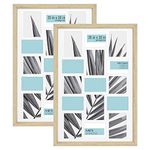MCS Industries 63820 20x30 Inch Collage 2-Pack, Natural Woodgrain Studio Gallery Frame