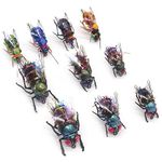 YZD Realistic Fly Fishing Dry Wet Nymph Trout Flies Topwater Lures for Freshwater Saltwater High Simulation Hand Tie Lure Kits 10 pcs