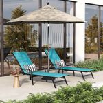 Outdoor Lounge Chair Set of 2 with 5-Position Backrest and Curved Armrests, Adjustable Patio Reclining Chair with Textilene Fabric and Sturdy Metal Frame for Garden, Poolside and Balcony, Sky Blue