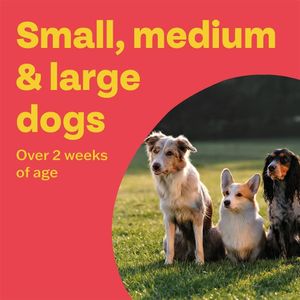 Bob Martin Clear Dog Wormer Tablets – 4-Pack