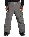 DC Men's Insulated Snowboard Pants 