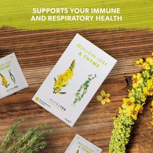 Nutra Tea Mullein & Thyme Herbal Tea – 120 Bags