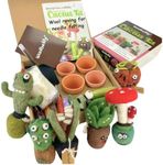 Woolbuddy Needle Felting Kit Cactus, Felting Kit for Beginner Adults Includes 4 Felting Needles, Needle Felting Wool, Felting Foam Pad, 2 Clay Pots and Photo Instructions, DIY Crafts