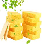 12-Count Kitchen Sponges- Compresse