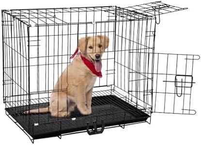 Pet Clean 