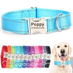 SEOUGEE Personalised Dog Collar with Engraved Metal Buckle, Reflective Nylon Collars for Small Medium Large Dogs with Custom Name Plate Phone Number (Sky Blue, M:Neck 35-50cm,Width 2cm)