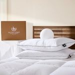 Pacific Coast Pillows Queen Size Se